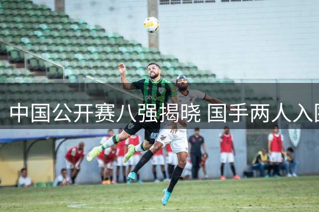 中国公开赛八强揭晓 国手两人入围